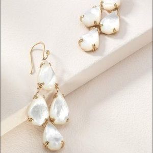 Stella & Dot Botanical Chandeliers